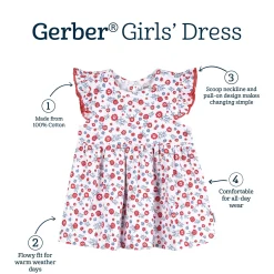 Baby Girls Red, White, & Blue Floral Dress