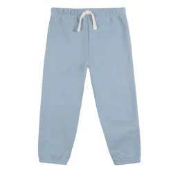 Embroidered 2-Piece Infant & Toddler Neutral Blue Sweatshirt & Pant Set