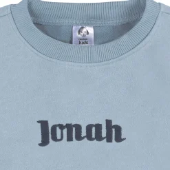 Embroidered 2-Piece Infant & Toddler Neutral Blue Sweatshirt & Pant Set