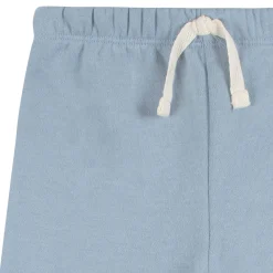 Embroidered 2-Piece Infant & Toddler Neutral Blue Sweatshirt & Pant Set