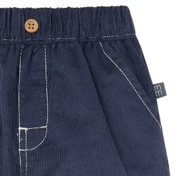 Infant & Toddler Boys Navy Corduroy Pants