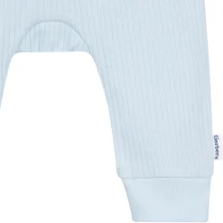 2-Pack Baby Boys Blue Pants