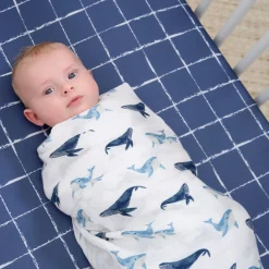 2-Pack Baby Boys Coastal Calm Muslin Blankets