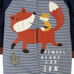 2-Pack Baby Boys Fox Sleep 'N Plays