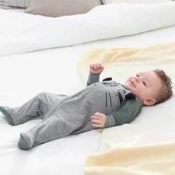 2-Pack Baby Boys Tiger Sleep 'N Plays