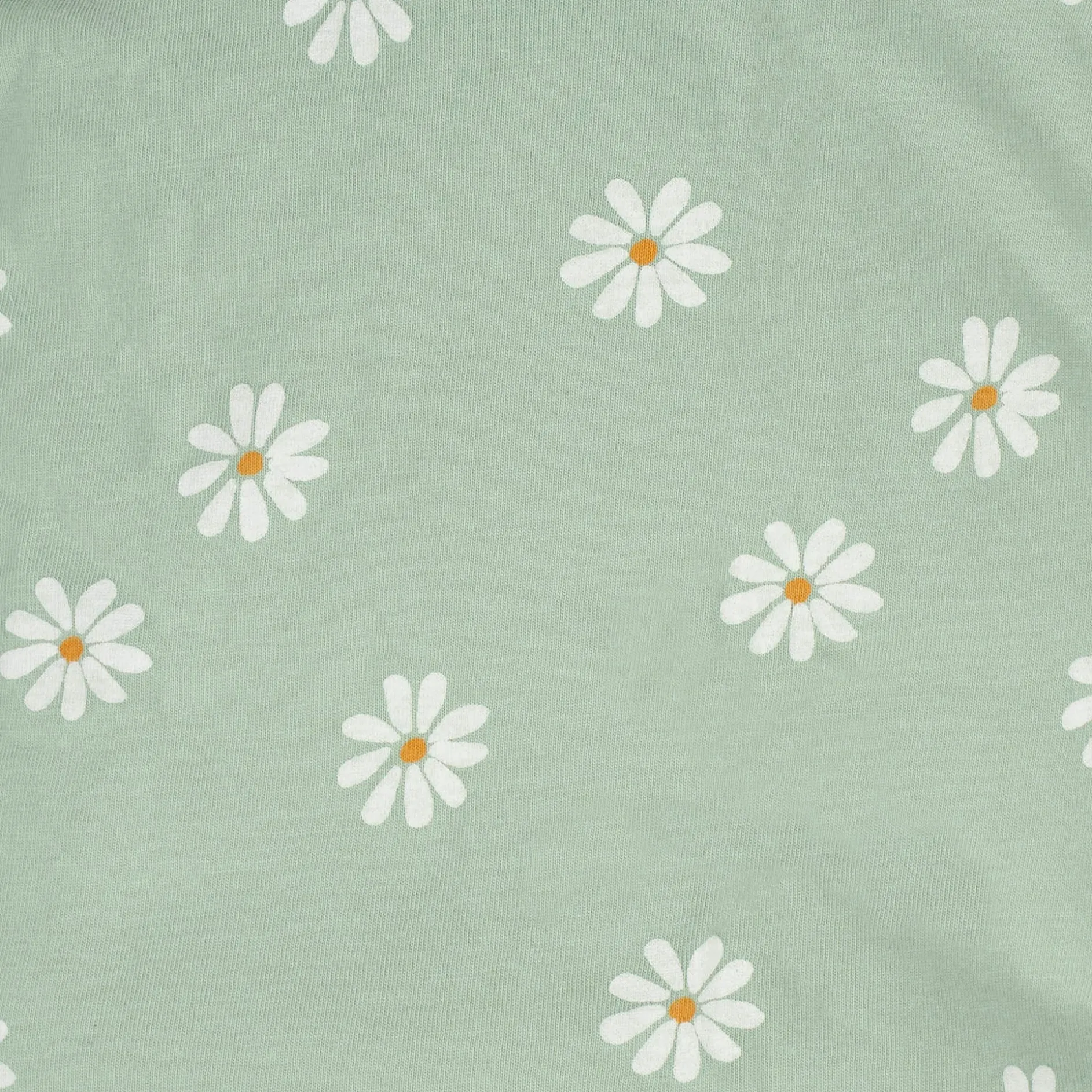 2-Pack Baby Girls Golden Floral Sleep 'N Plays