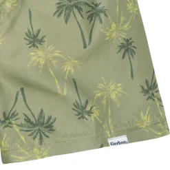 2-Pack Baby & Toddler Boys UPF 50+ Palm Tree Swim Trunks