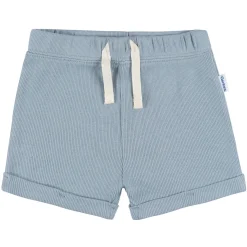 2-Piece Baby Boys Blue Bodysuit and Shorts Set