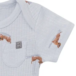 4-Piece Baby Boys Dachshund Surf Short Sleeve Bodysuits and Shorts Set