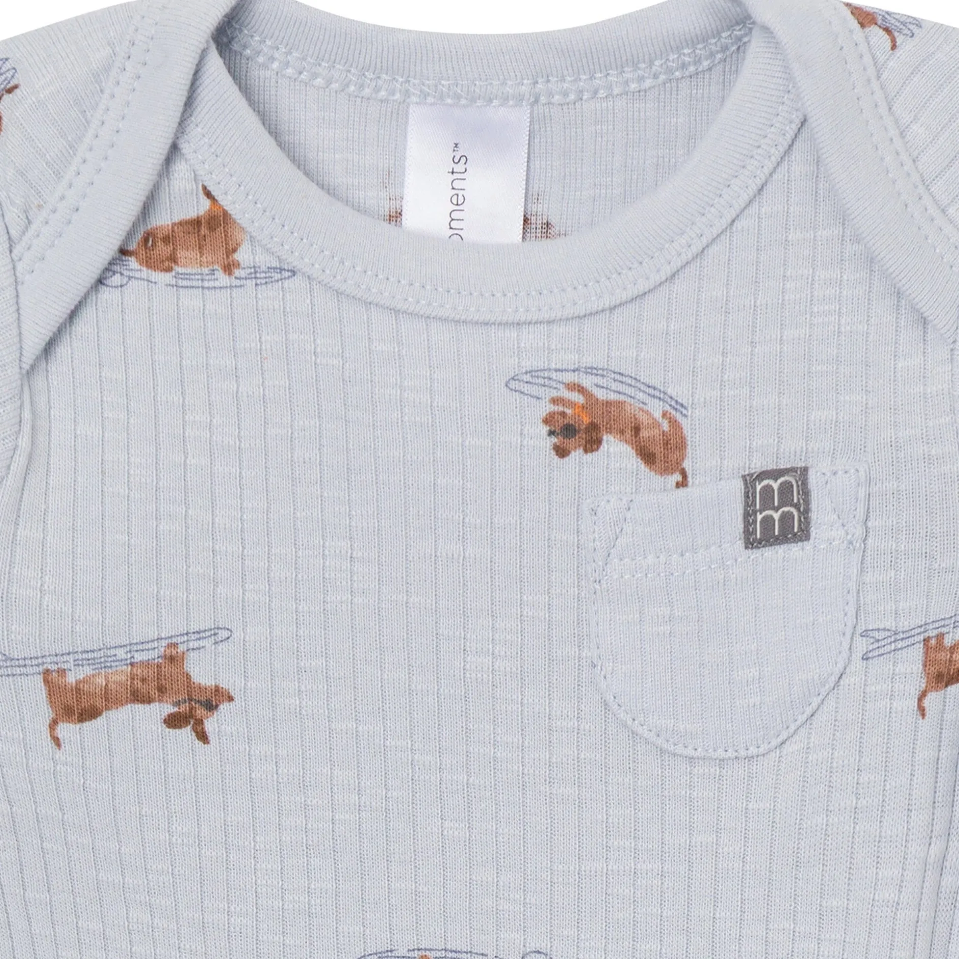 4-Piece Baby Boys Dachshund Surf Short Sleeve Bodysuits and Shorts Set