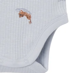 4-Piece Baby Boys Dachshund Surf Short Sleeve Bodysuits and Shorts Set
