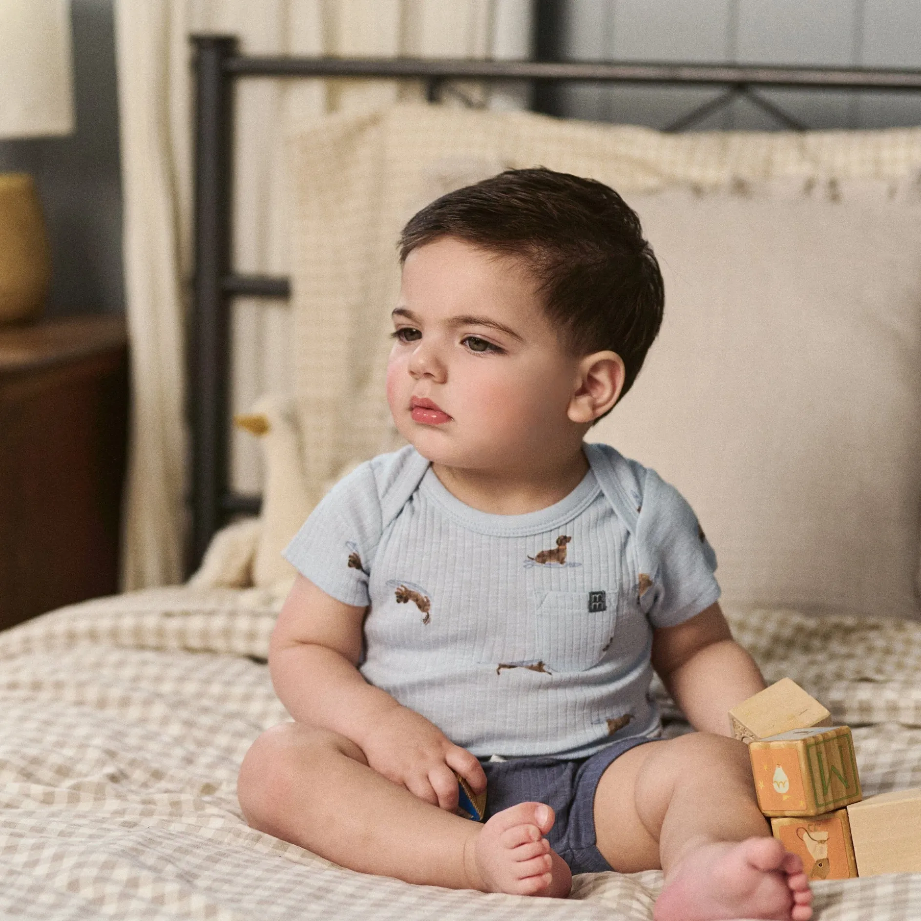 4-Piece Baby Boys Dachshund Surf Short Sleeve Bodysuits and Shorts Set