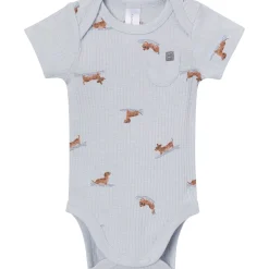 4-Piece Baby Boys Dachshund Surf Short Sleeve Bodysuits and Shorts Set