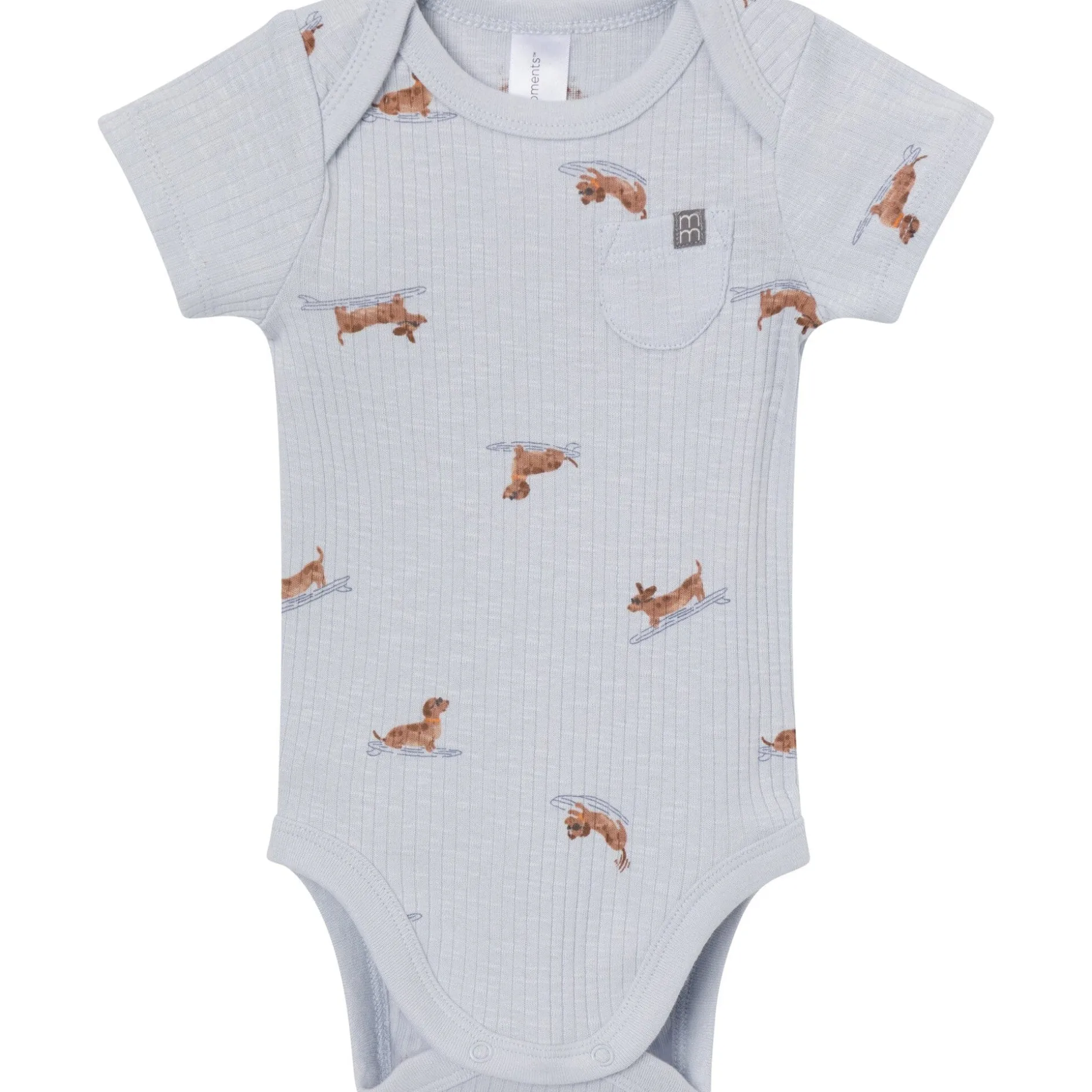 4-Piece Baby Boys Dachshund Surf Short Sleeve Bodysuits and Shorts Set