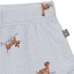 4-Piece Baby Boys Dachshund Surf Short Sleeve Bodysuits and Shorts Set