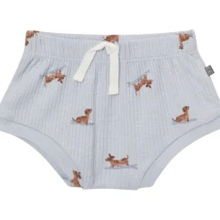 4-Piece Baby Boys Dachshund Surf Short Sleeve Bodysuits and Shorts Set