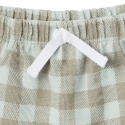 2-Piece Baby Boys Light Sky Gingham Henley Shirt and Shorts Set