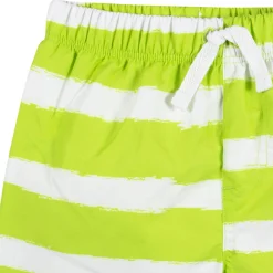 2-Piece Baby Boys UPF 50+ Later Gator Rash Guard & Swim Trunks Set
