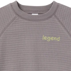 2-Piece Infant & Toddler Boys Grey Long Sleeve Top and Shorts Set