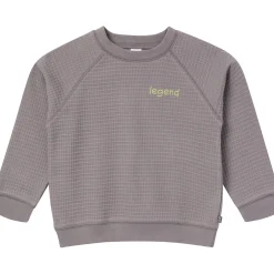 2-Piece Infant & Toddler Boys Grey Long Sleeve Top and Shorts Set