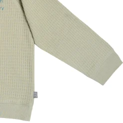 2-Piece Infant & Toddler Boys Light Green Long Sleeve Top and Shorts Set