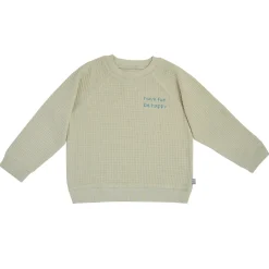 2-Piece Infant & Toddler Boys Light Green Long Sleeve Top and Shorts Set