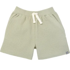 2-Piece Infant & Toddler Boys Light Green Long Sleeve Top and Shorts Set