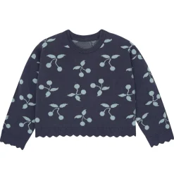 2-Piece Infant & Toddler Girls Blue Cherry Sweater and Pant Set