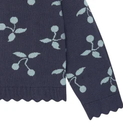 2-Piece Infant & Toddler Girls Blue Cherry Sweater and Pant Set