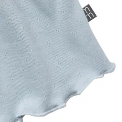 2-Piece Infant & Toddler Girls Light Blue Daisy Ruffled Sleeve Top & Smocked Wide Leg Shorts Set