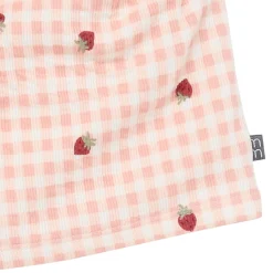 2-Piece Infant & Toddler Girls Rose Strawberry Gingham Top and Shorts Set