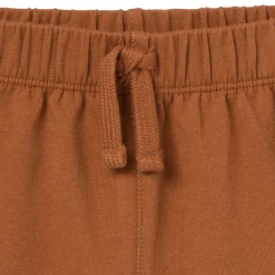 2-Piece Toddler Boys Medium Brown Henley Shirt and Shorts Set