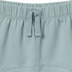 2-Piece Toddler Boys Medium Teal Henley Shirt and Shorts Set