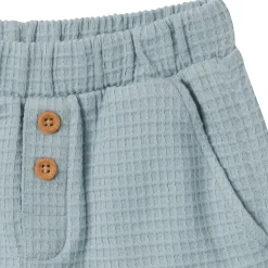 2-Piece Toddler Boys Teal Johnny Collar Shirt and Shorts Set
