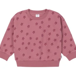 2-Piece Toddler Girls Daisies Sweatshirt & Pant Set