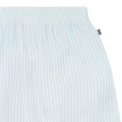 2-Piece Womens Light Blue Stripe Cropped Pants Set