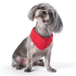 Red Hacci Pet Bandana