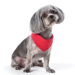 Red Hacci Pet Bandana