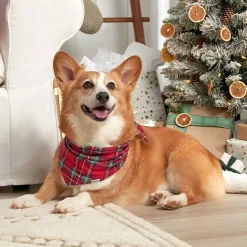 Stewart Plaid Hacci Pet Bandana