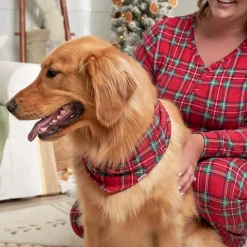 Stewart Plaid Hacci Pet Bandana